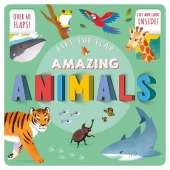 Lift The Flap: Amazing Animals