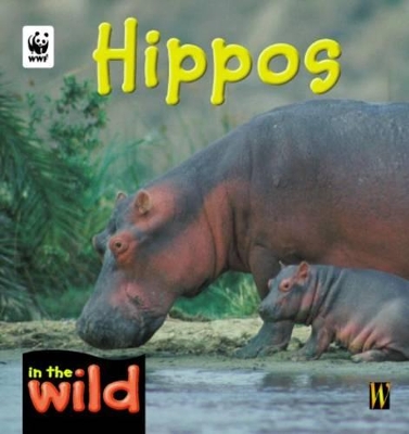 Hippos