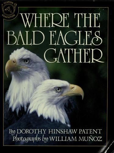 Where the Bald Eagles Gather