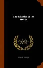 The Exterior of the Horse