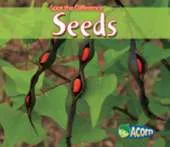 Seeds