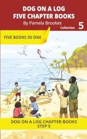 Five Chapter Books 5: Decodable Series for Students Learning to Read. For Beginning Readers and Students with Dyslexia. (Step 5-Magic/Silent e)