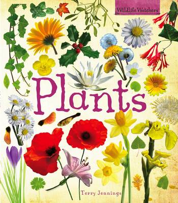 Plants