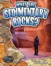 What are Sedimentary Rocks?