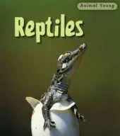 Reptiles
