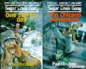 The Chicago Adventure and One Stormy Day