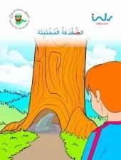 The Hiding Turtoise