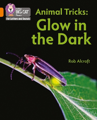 Animal Tricks: Glow in the Dark: Band 06/Orange