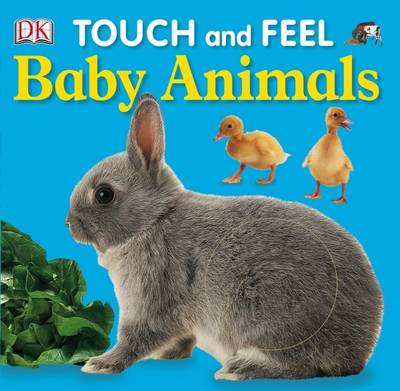 Baby Animals