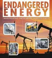 Endangered Energy: Investigating the Scarcity of Fossil Fuels