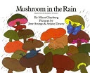 Mushroom in the Rain