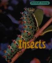 Insects