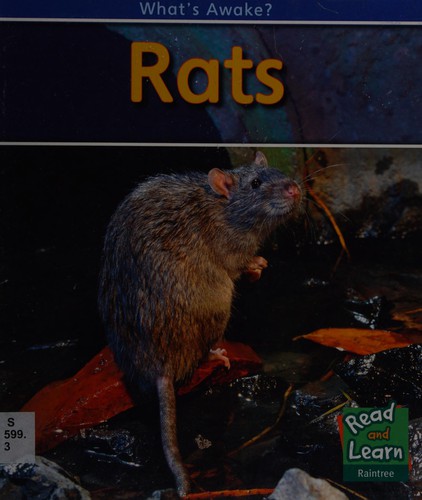 Rats