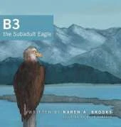 B3 the Subadult Eagle