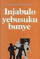 Injabulo Yebusuku Bunye