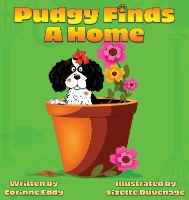 Pudgy Finds A Home