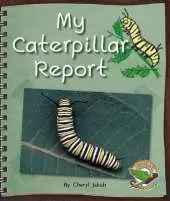 My Caterpillar Report