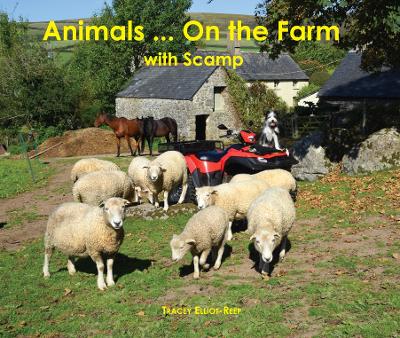 Animals... On the Farm: with Scamp