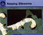 Literacy Magic Bean In Fact, Keeping Silkworms Pupil Book (single)