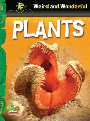 Plants: Key stage 1
