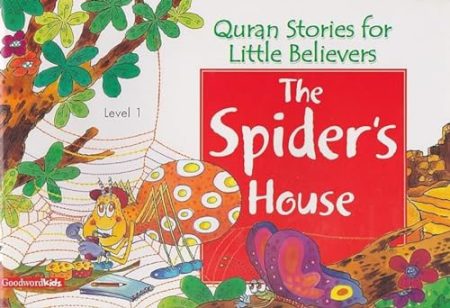 The Spider's House