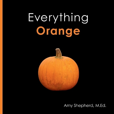 Everything Orange: A joyful concept book designed for every learner