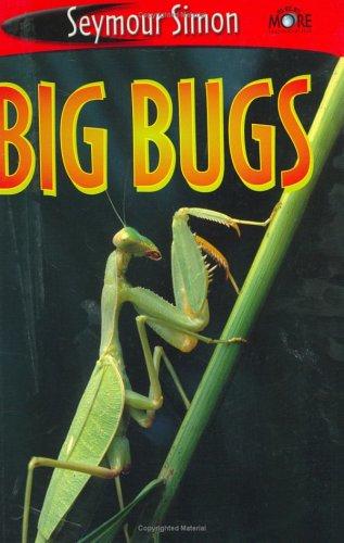 Big Bugs