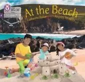 At the Beach: Foundations for Phonics