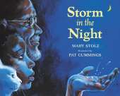 Storm in the Night