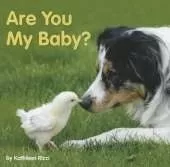 Are You My Baby?