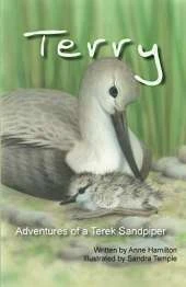 Terry: Adventures of a Terek Sandpiper