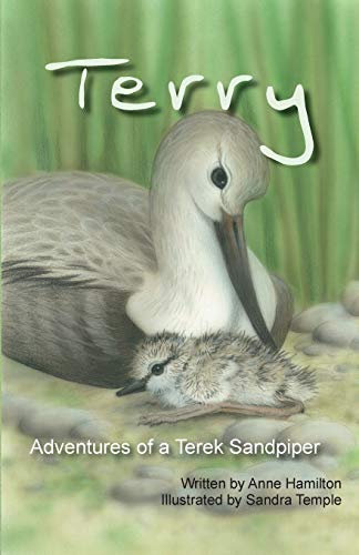 Terry: Adventures of a Terek Sandpiper