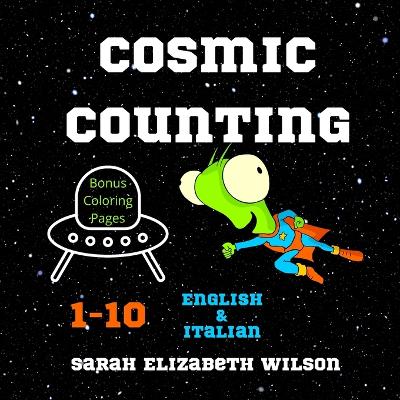 Cosmic Counting