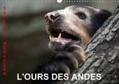 L'Ours Des Andes. Especes Menacees: Sur La Piste De L'ours Des Andes, Dans Les Hautes Montagnes De L'equateur.