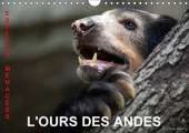 L'Ours Des Andes. Especes Menacees: Sur La Piste De L'ours Des Andes, Dans Les Hautes Montagnes De L'equateur.