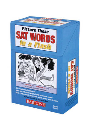 Picture These Sat Words in a Flash