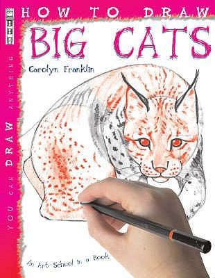 How to Draw Big Cats