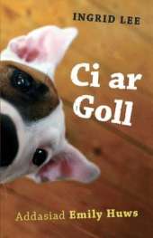 Ci Ar Goll