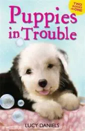 Animal Ark: Puppies in Trouble: Puppies in the Pantry & Puppy in a Puddle