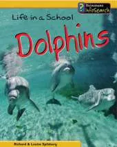 Life in a School of Dolphins