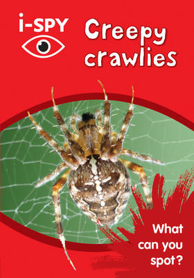 i-SPY Creepy Crawlies: What Can You Spot?
