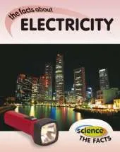 Science The Facts: Electricity