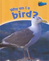 Why am I a Bird?