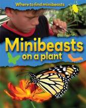 Where to Find Minibeasts: Minibeasts on a Plant