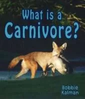 What is a Carnivore?