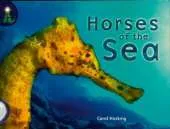 Lighthouse White Level: Horses Of The Sea Single