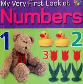 My Very First Look at Numbers
