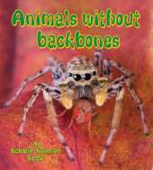 Animals without Backbones