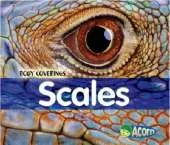 Scales