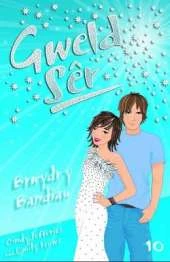 Brwydr Y Bandiau